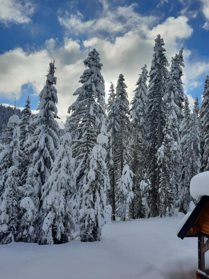 Vila Jelena Jahorina Eksteriør billede