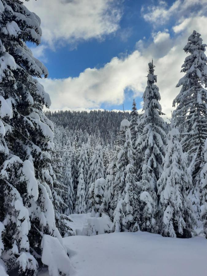 Vila Jelena Jahorina Eksteriør billede