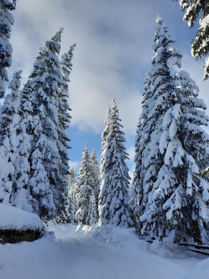 Vila Jelena Jahorina Eksteriør billede