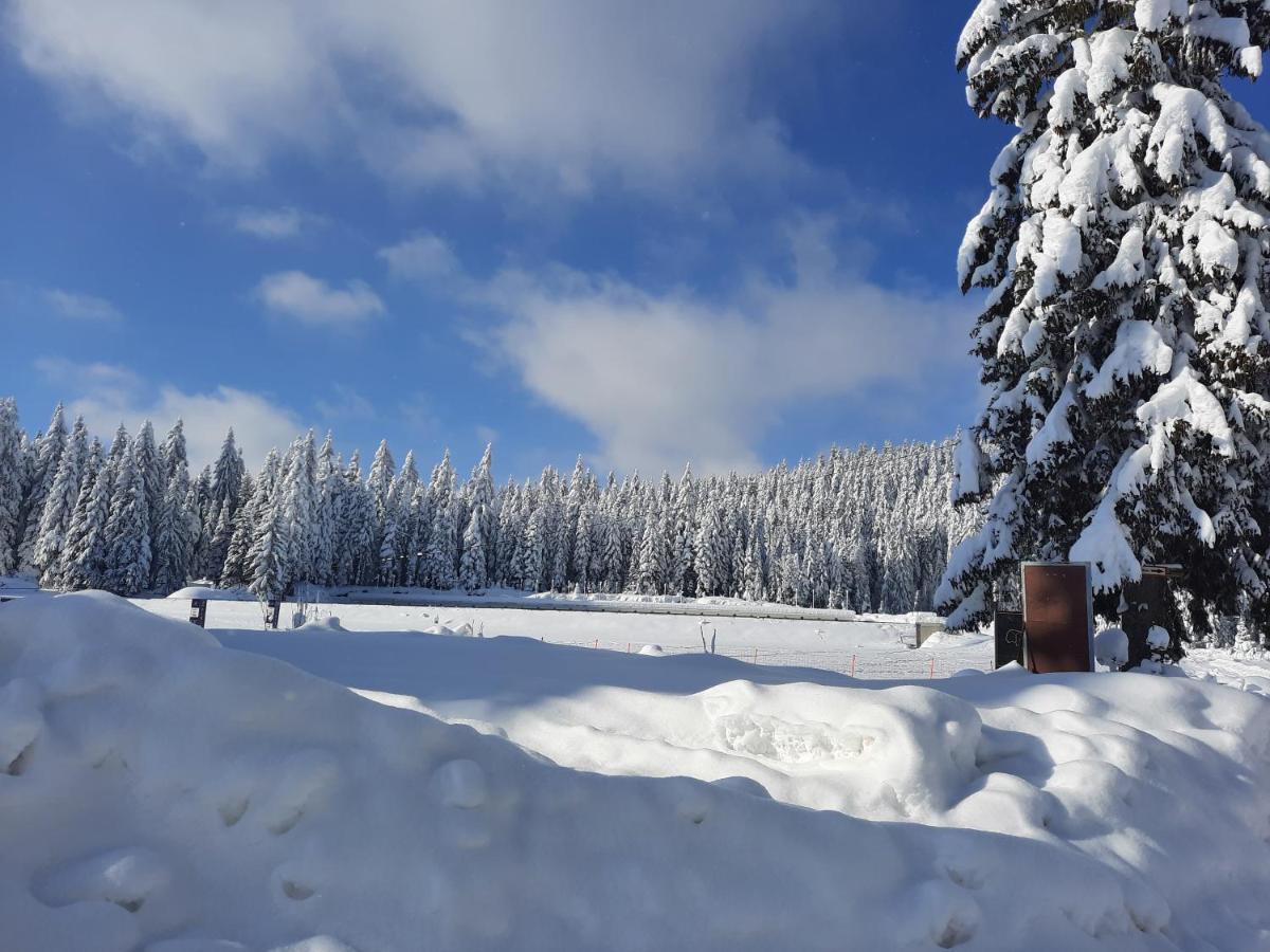 Vila Jelena Jahorina Eksteriør billede